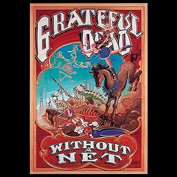 

Виниловая пластинка Grateful Dead - Without A Net