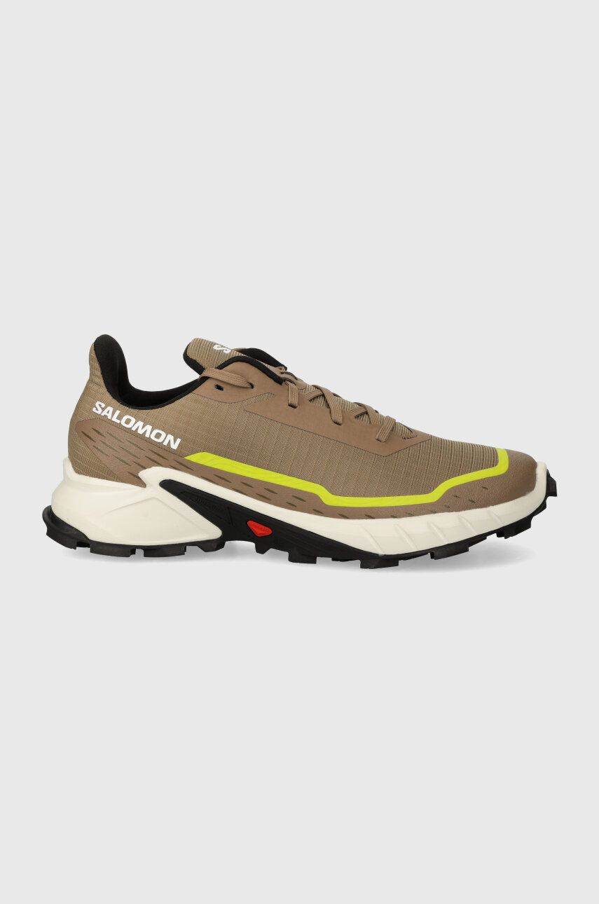 

Кроссовки Salomon Alphacross 5, коричневый