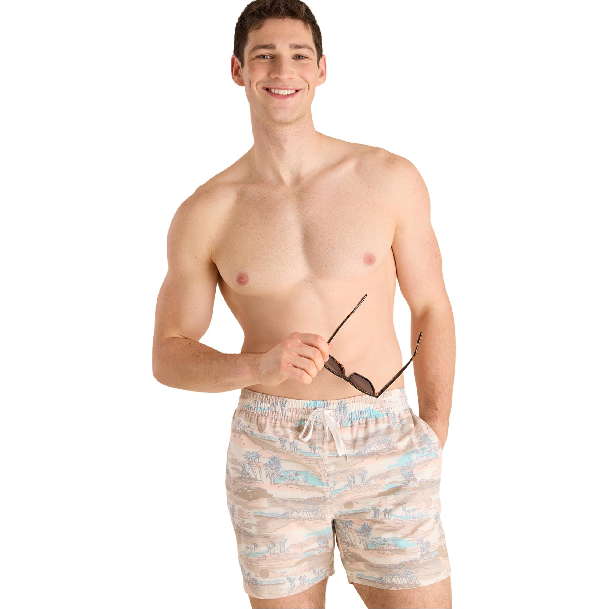 

Мужские плавки Day Trips, классические, с подкладкой, 5,5 дюймов. Chubbies, Khaki Landscape