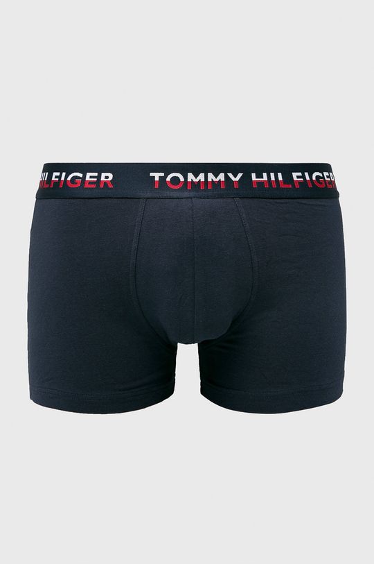 

Боксеры (2 пары) UM0UM00746 Tommy Hilfiger, темно-синий