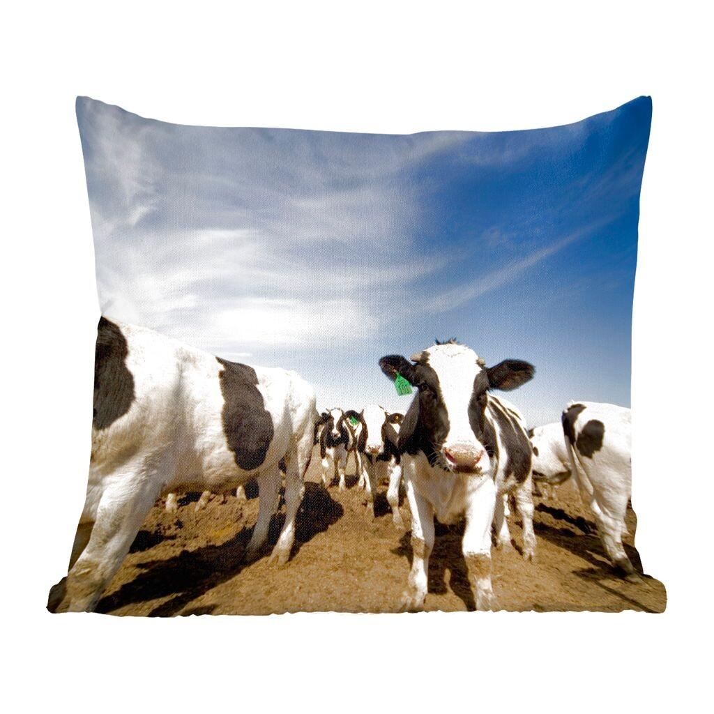 

MuchoWow Friesian Cow - Большое стадо фризских коров - 60x60 см - чехол на подушку - хлопчатобумажная ткань - декоративные чехлы на подушки