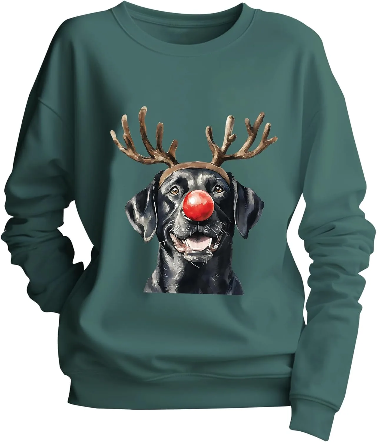 

Свитшот с принтом "Рождественский черный лабрадор" Yuisi Doxn