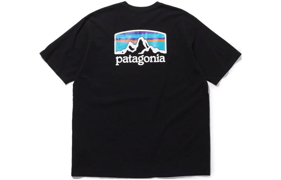 

Футболка Fitz Roy Horizons мужская Patagonia, Tea Green/TEAG