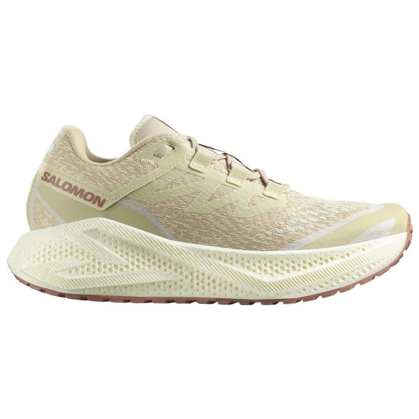 

Aero glide 3 grvl - кроссовки для бега Salomon, мультиколор