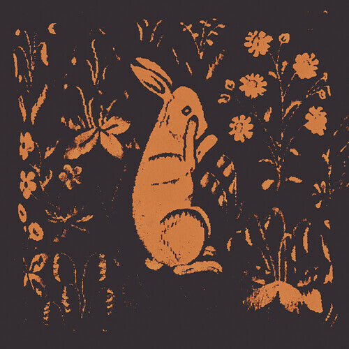 

Виниловая пластинка Sadness: Rabbit Album