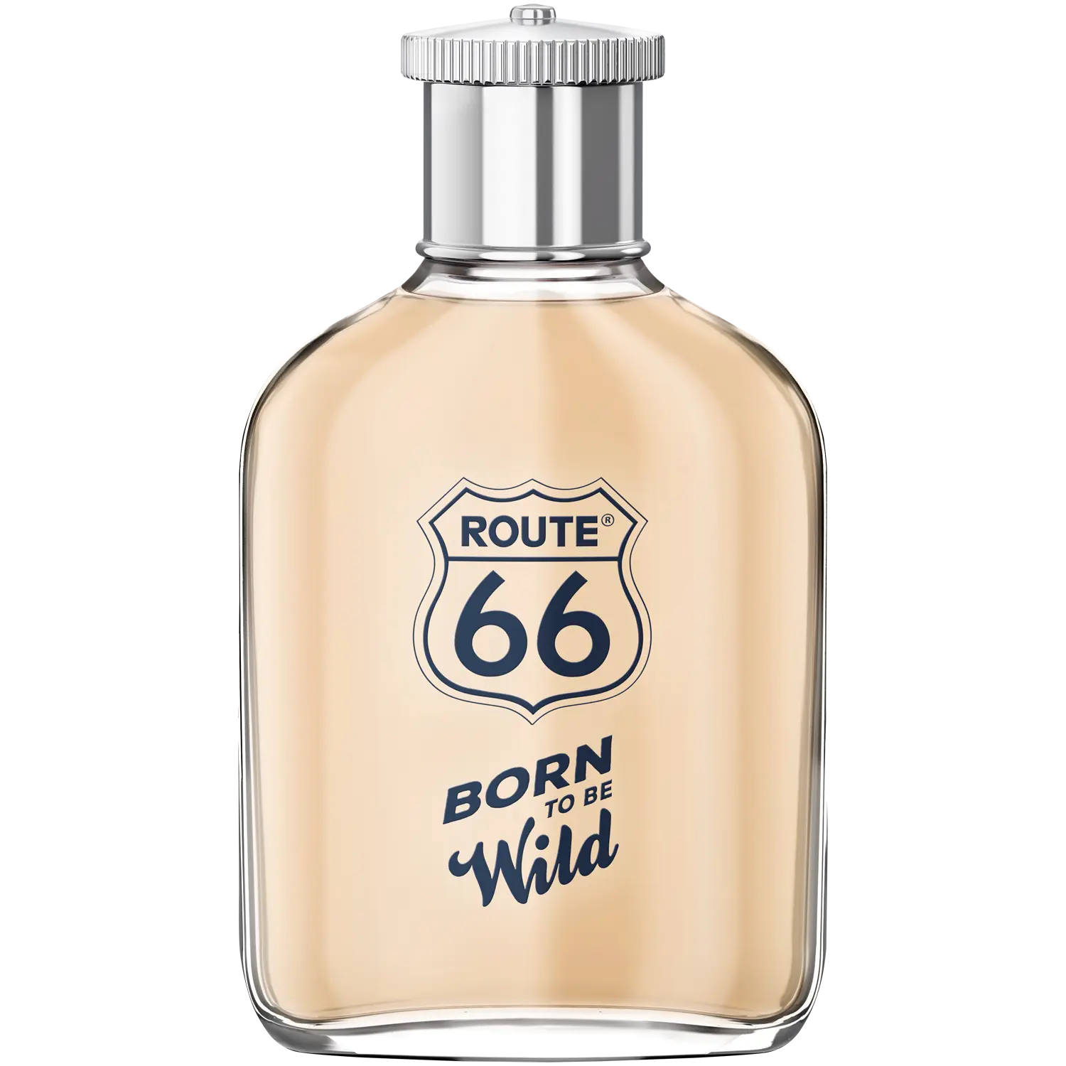 

Мужская туалетная вода Route 66 Born To Be Wild, 100 мл