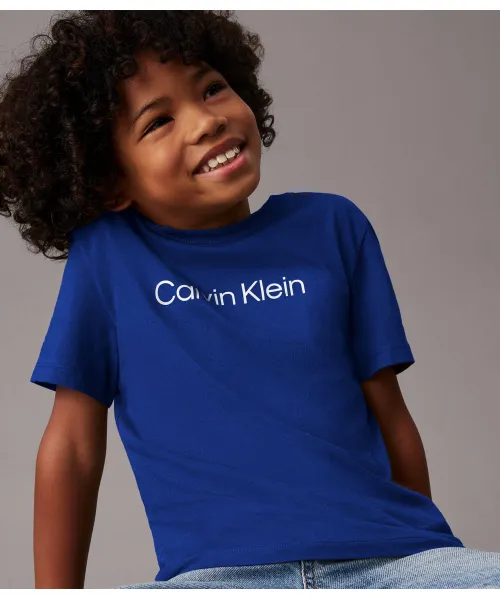 

Футболка Regular fit Calvin Klein Jeans, синий