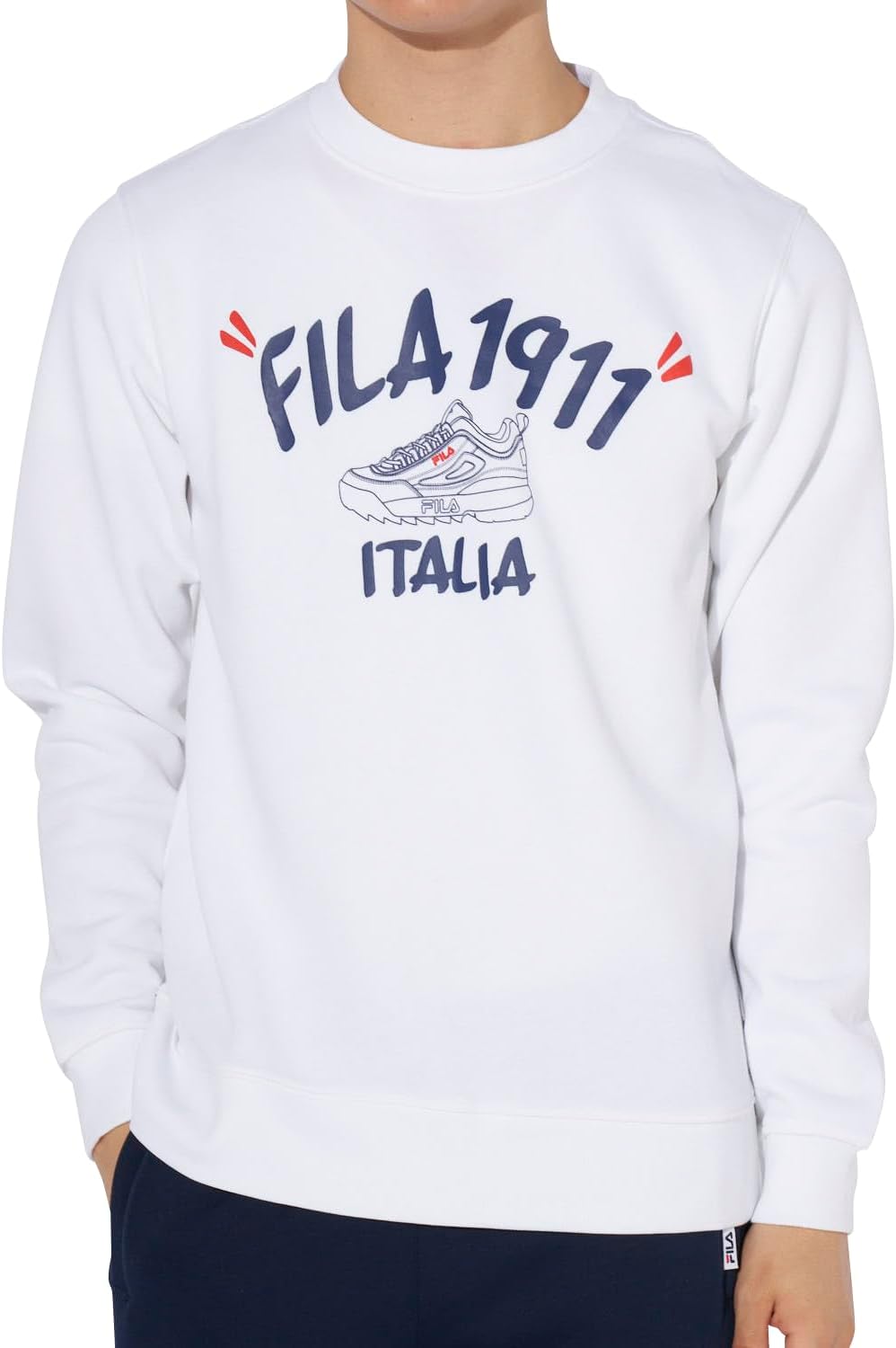 

Толстовка FILA Sweat с рисунком и логотипом спереди, мужская, белый