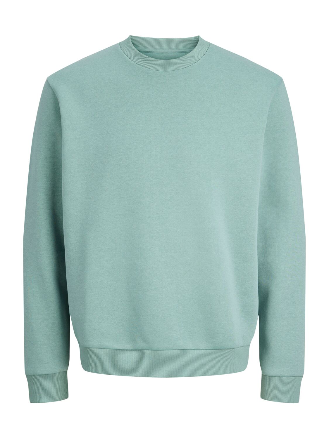 

Jack & Jones Plus Свитшот 'JJEBRADLEY' в пастельно-зеленом цвете, Зеленый, Jack & Jones Plus Свитшот 'JJEBRADLEY' в пастельно-зеленом цвете