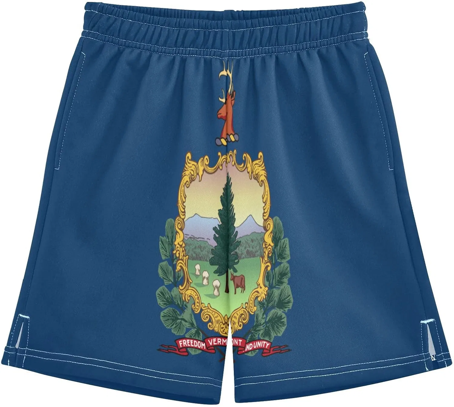 Шорты спортивные мальчиковые GuoChe с карманами, Vermont State Flag