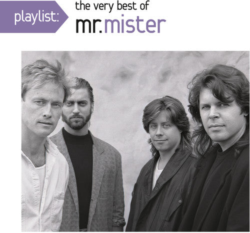 

CD диск Mr Mister: Playlist: The Very Best of Mr. Mister