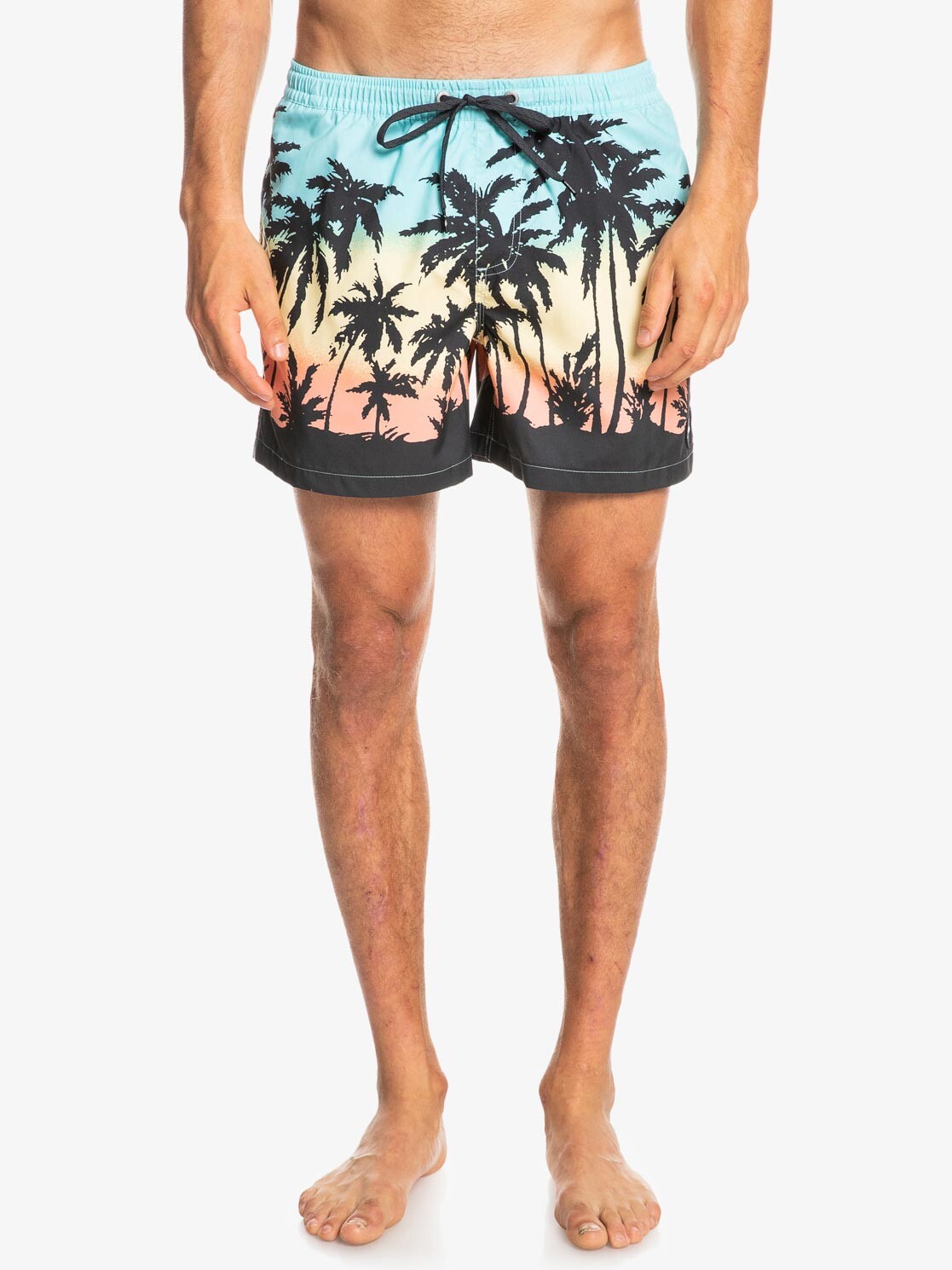 

Шорты для плавания Quiksilver EVERYDAY PARADISE VOLLEY 15, синий