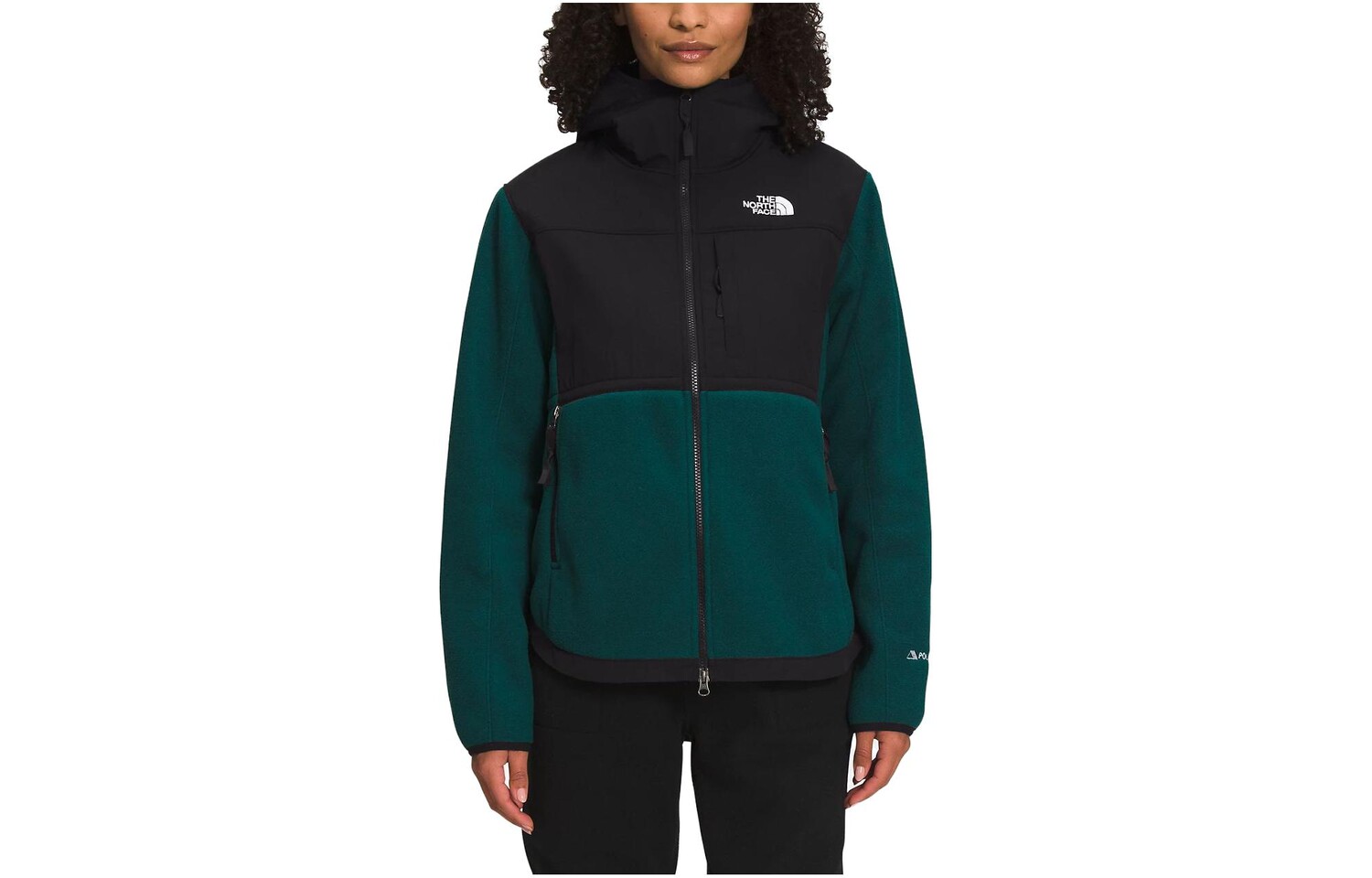 

THE NORTH FACE Женская куртка, цвет Black/Green