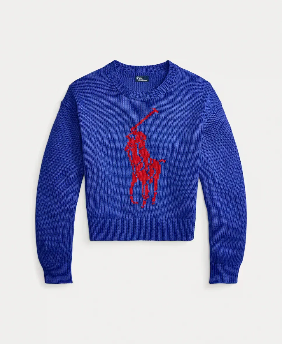 Женский хлопковый джемпер с большой лошадью Polo Ralph Lauren, Azul Cobalto — фото 4