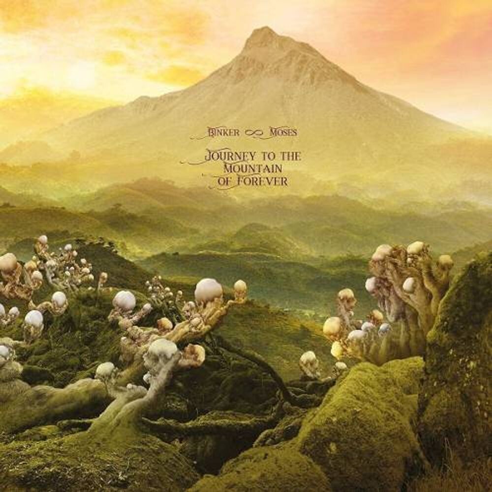 

Диск CD Journey To The Mountain Of Forever - Binker & Moses