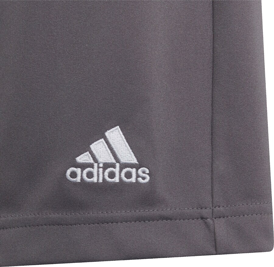 Брюки ADIDAS PERFORMANCE Regular Workout Pants Entrada 22, темно-серый — фото 4
