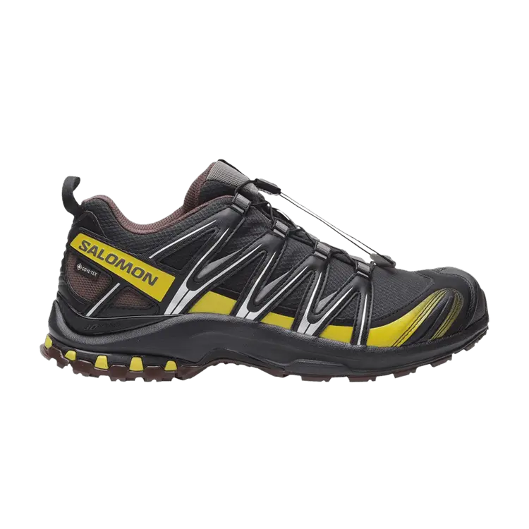 

Кроссовки Salomon XA Pro 3D GORE-TEX, Cress Green French Roast