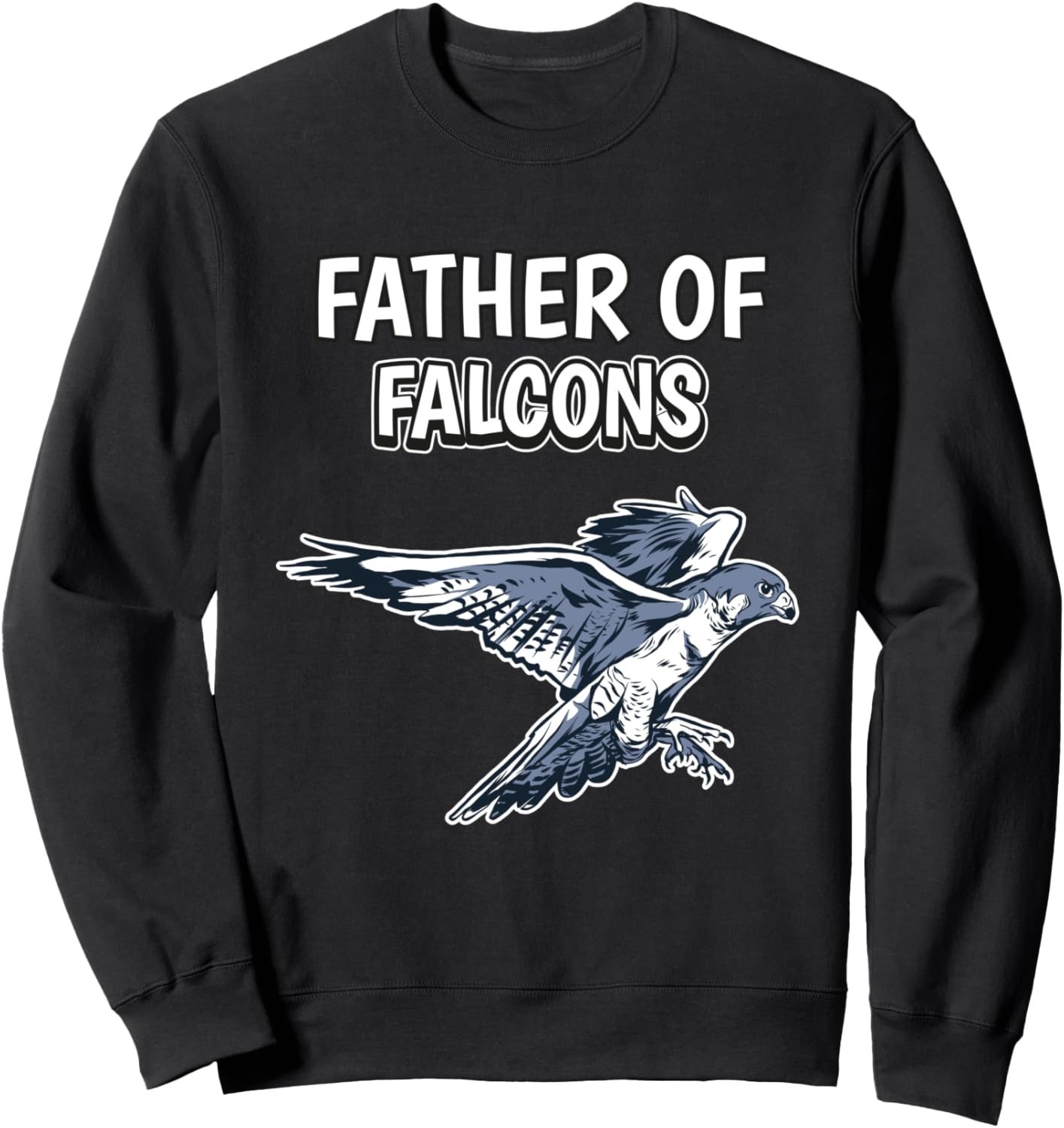 

Мужская и детская толстовка «Папа-сокол» ко Дню отца Funny Falcon Outfits, черный