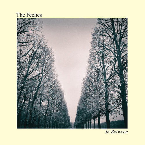

CD диск Feelies: In Between