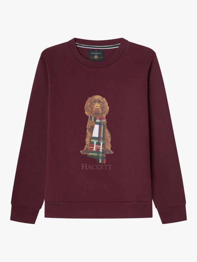 

Детский свитшот из хлопковой смеси с круглым вырезом Hackett London, Burgundy Red