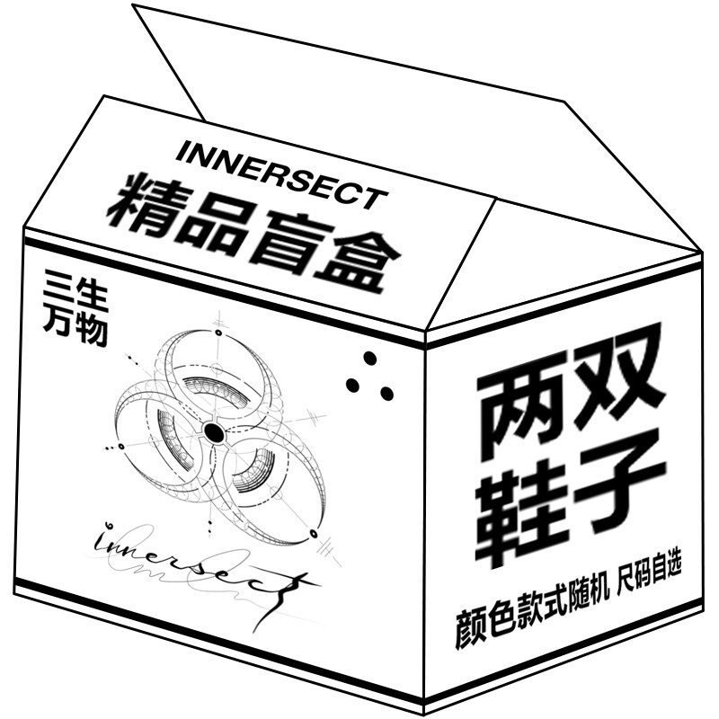 

Кроссовки INNERSECT Skateboarding Shoes Unisex Low-top, цвет Mysterious Blind Box (1 Pack)