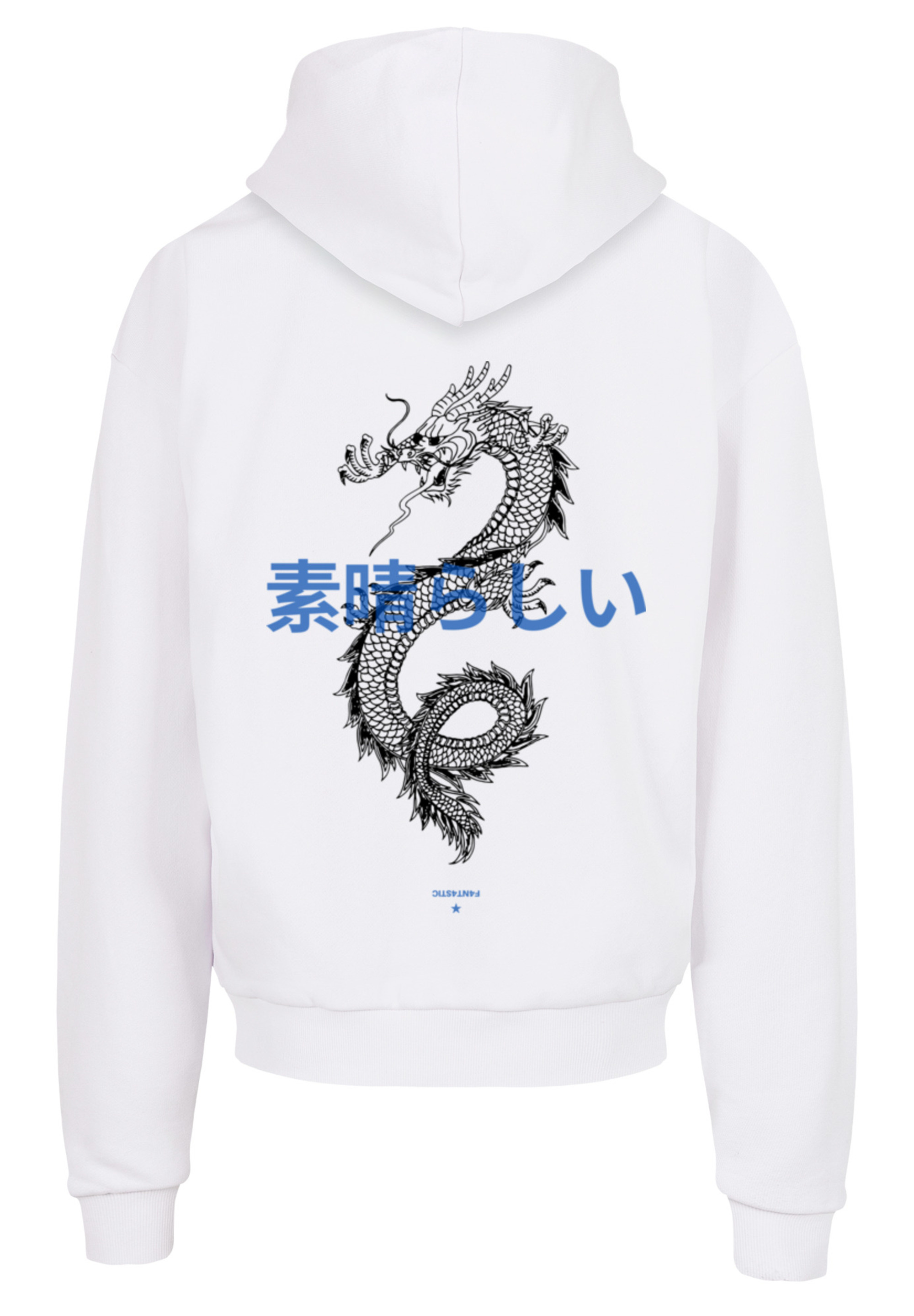 

Пуловер F4NT4STIC Ultra Heavy Hoodie Drache Lila, белый