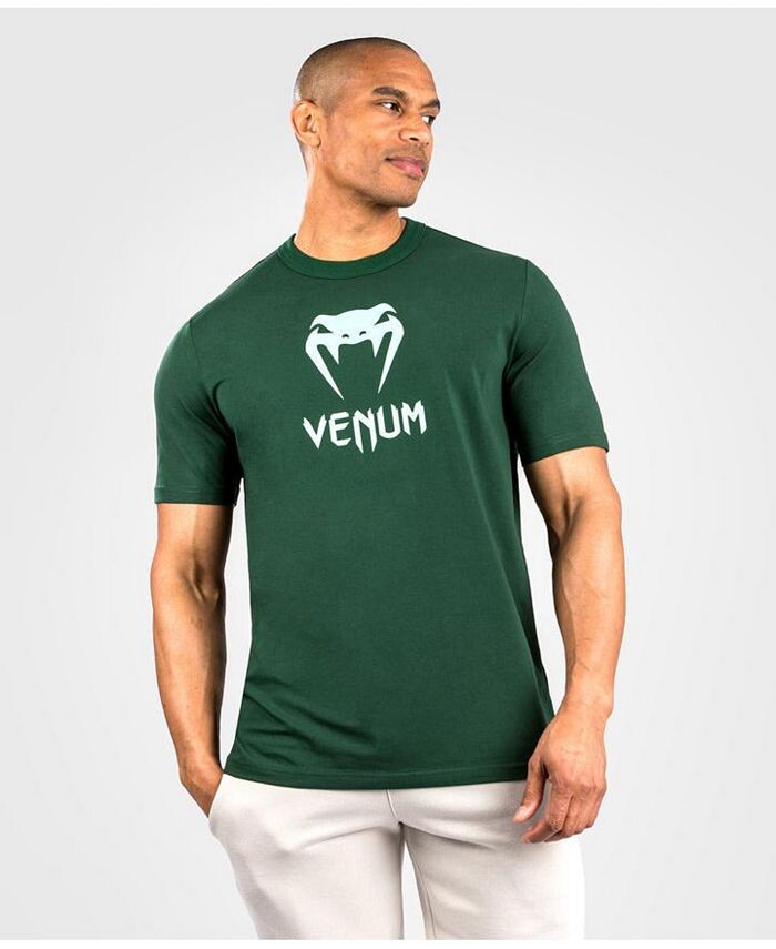 

Мужская классическая футболка Venum, цвет Green/turquoise