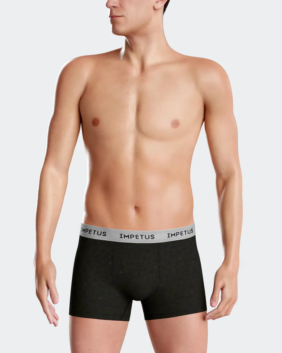 

Мужские трикотажные боксерские шорты с принтом черного цвета Impetus, чёрный