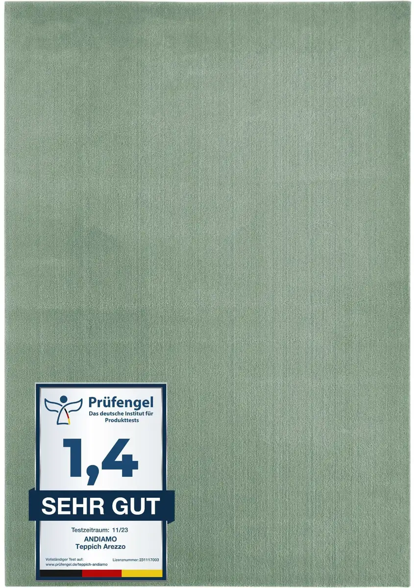 

Ковер Andiamo "Arezzo", прямоугольный, однотонный, мягкий ворс, можно стирать, идеально подходит для гостиной и спальни 80х150 см, цвет salbeigrün