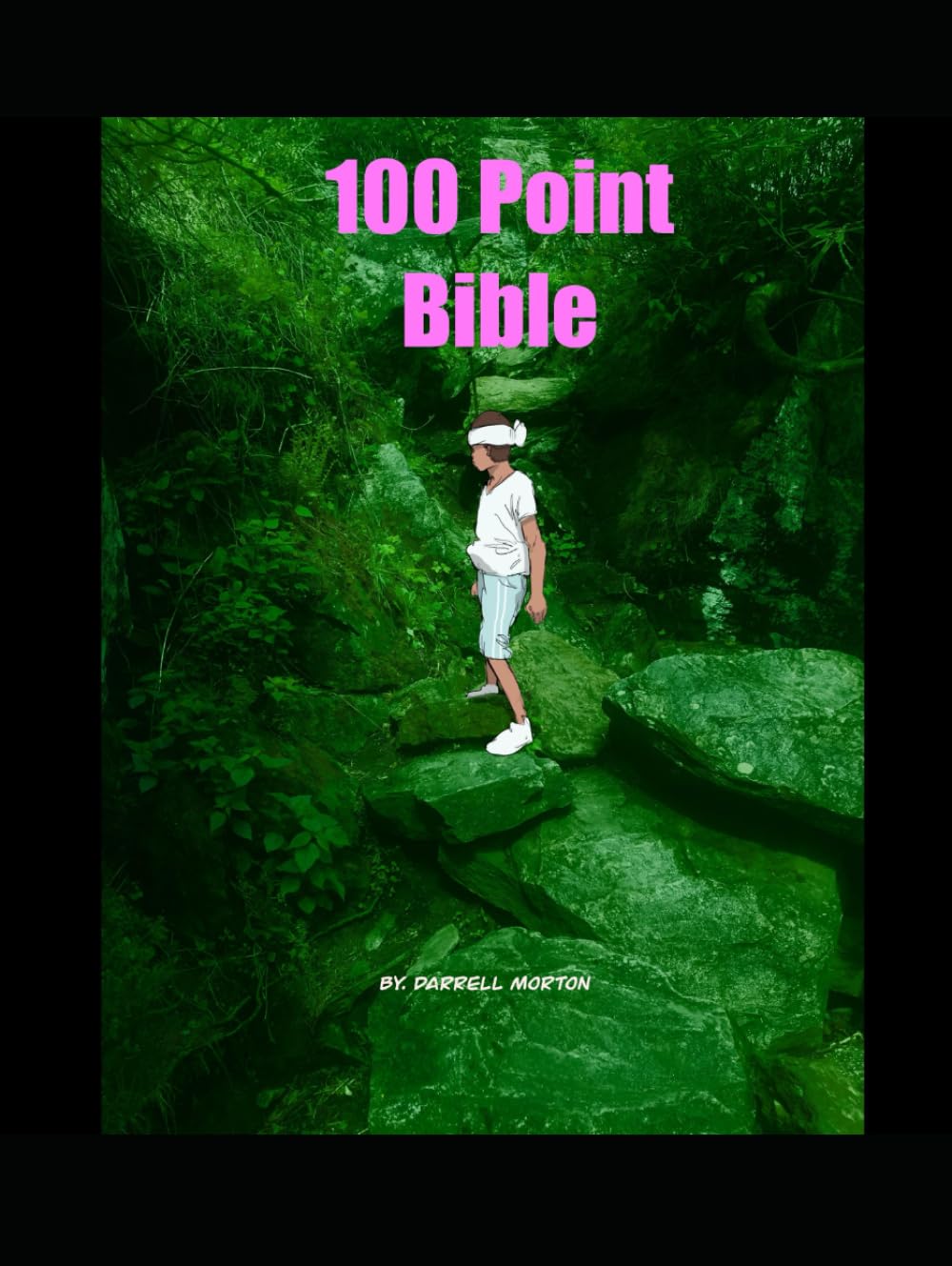 

100 Point Bible (Independently published)