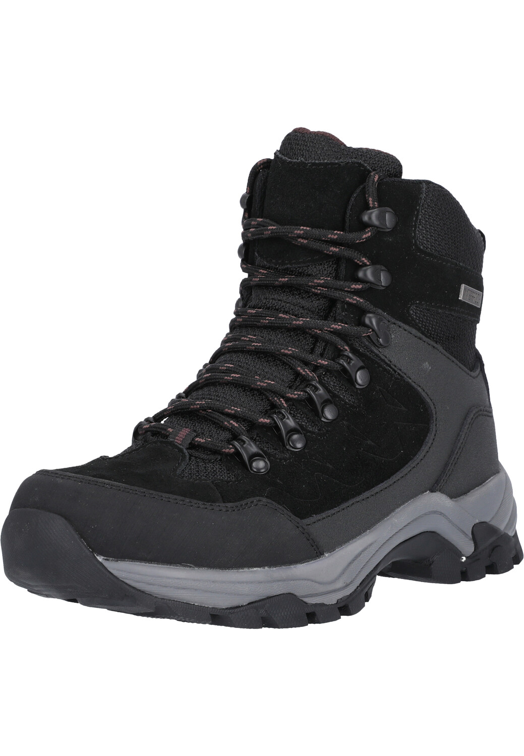 

Сапоги Whistler Wander Detion, цвет 1001 Black
