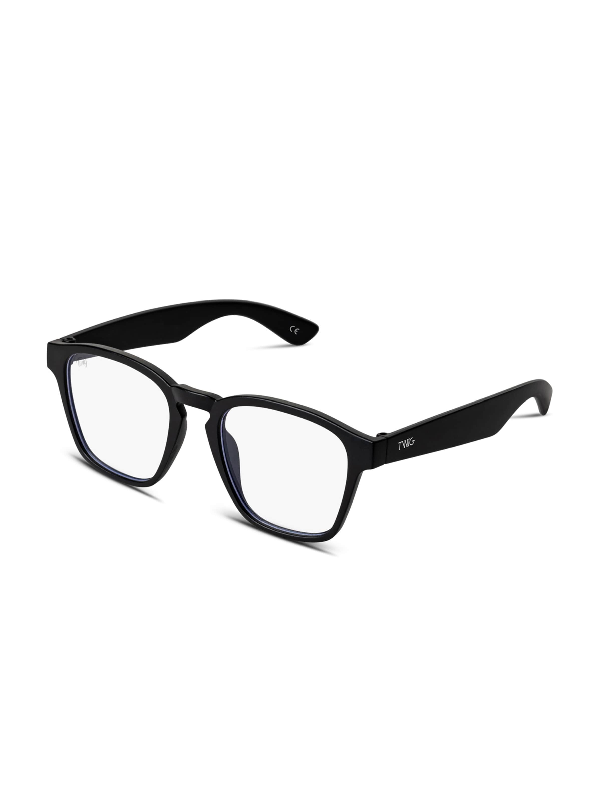 

TWIG Concept Milano Очки 'Hayez' в черном цвете