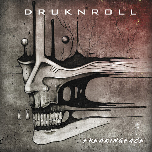 

CD диск Druknroll: Freakingface