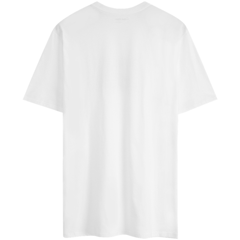 Calvin Klein Футболка YAA Moon White мужская — фото 3