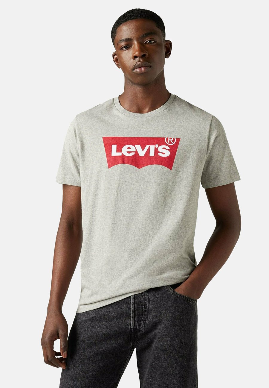 

Футболка Levi's 2ER PACK GRAPHIC SET IN NECK RUNDHALS, Grau Blau/Neon Blue