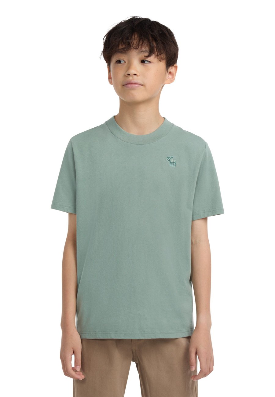 

Футболка Abercrombie & Fitch SHORT SLEEVE ESSENTIAL TEE, Chinois Green/Light Green