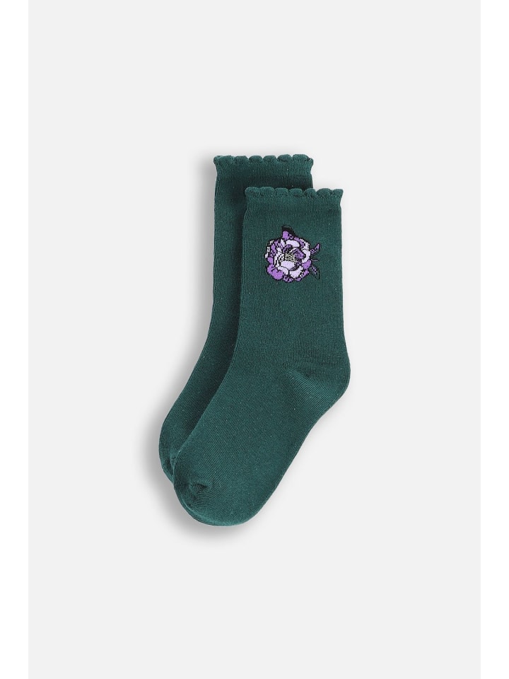 

Coccodrillo Носки зеленого цвета