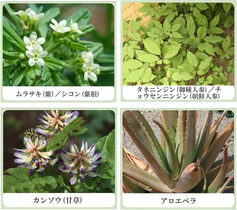 Набор косметики 3-в-1 Sikon Extract Japanese and Chinese Natural Basic Cosmetics, Meijian Kampo Research Institute, 3 предмета