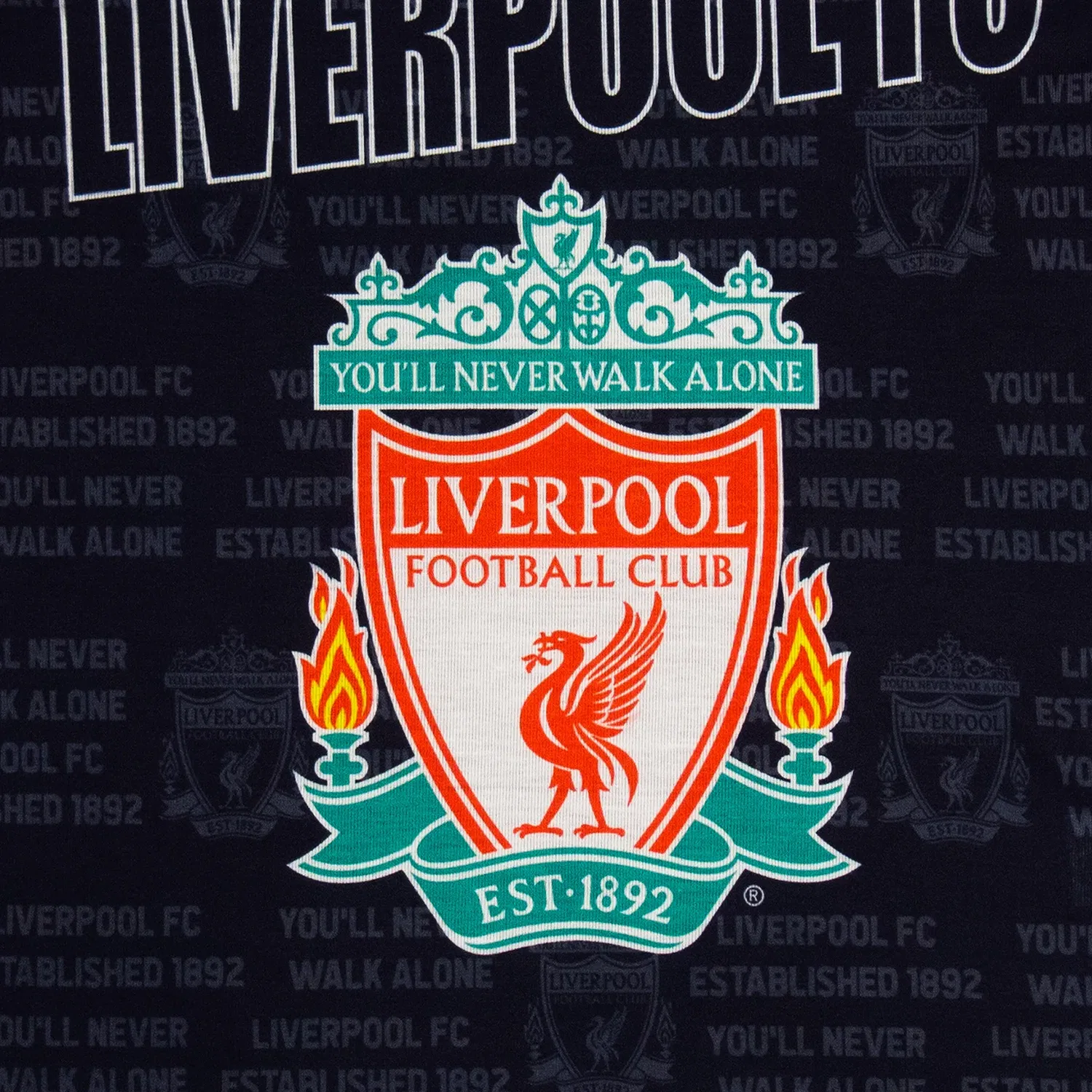 Детская пижама с принтом Liverpool FC, черный — фото 4