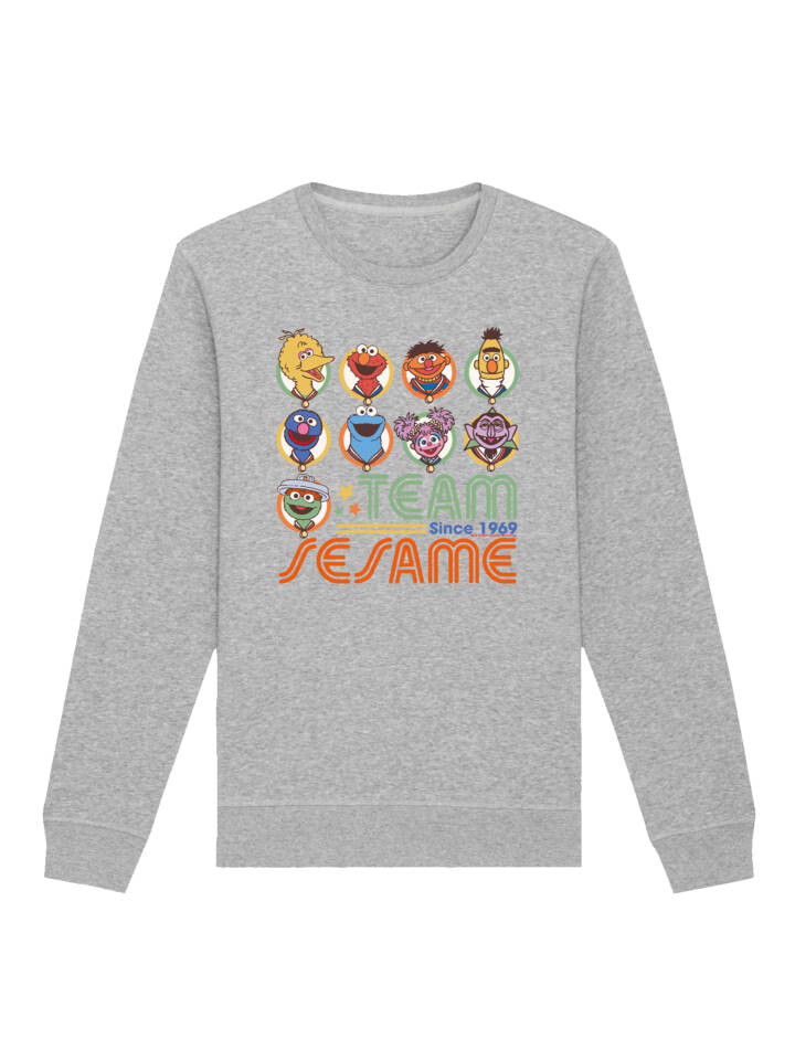 

Толстовка F4NT4STIC Sweatshirt Sesamstraße Team Since 1969, пятнистый серый