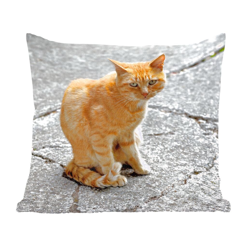 

MuchoWow Cats - Красный кот на улице - 45x45 см - Чехлы для подушек - Декоративные чехлы для подушек - Декоративные чехлы для подушек