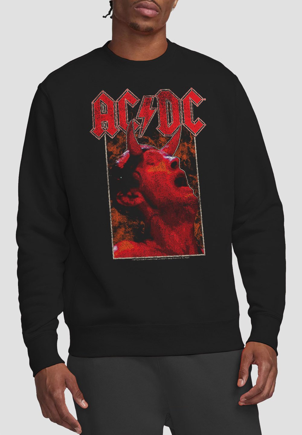 

Толстовка AC DC HORNS Cotton Soul, черный