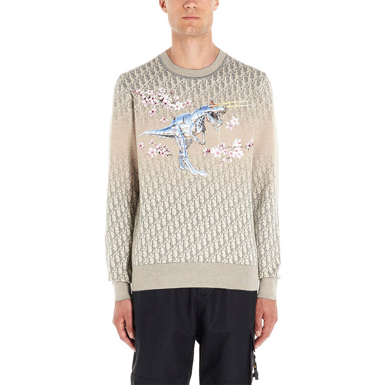 Ежеквартальные новые продукты Кашемировый свитер для мужчин Off White Dior, кремовый — фото 3