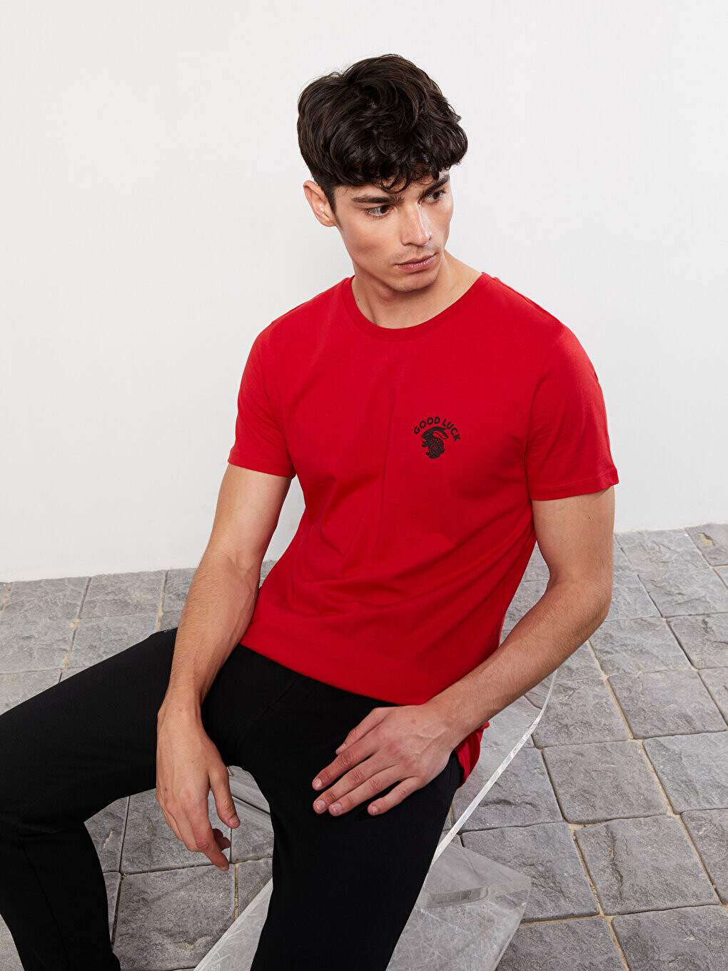 

Мужская футболка из чесаного хлопка с круглым вырезом и коротким рукавом с принтом LCW Casual, красный