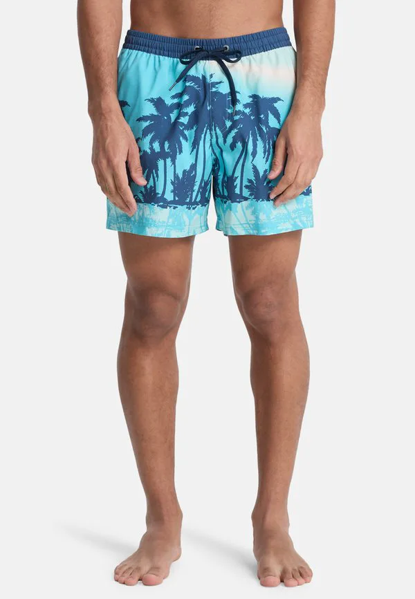 

Плавки everyday с принтом volley 15 Quiksilver, Blue, Синий, Плавки everyday с принтом volley 15 Quiksilver, Blue