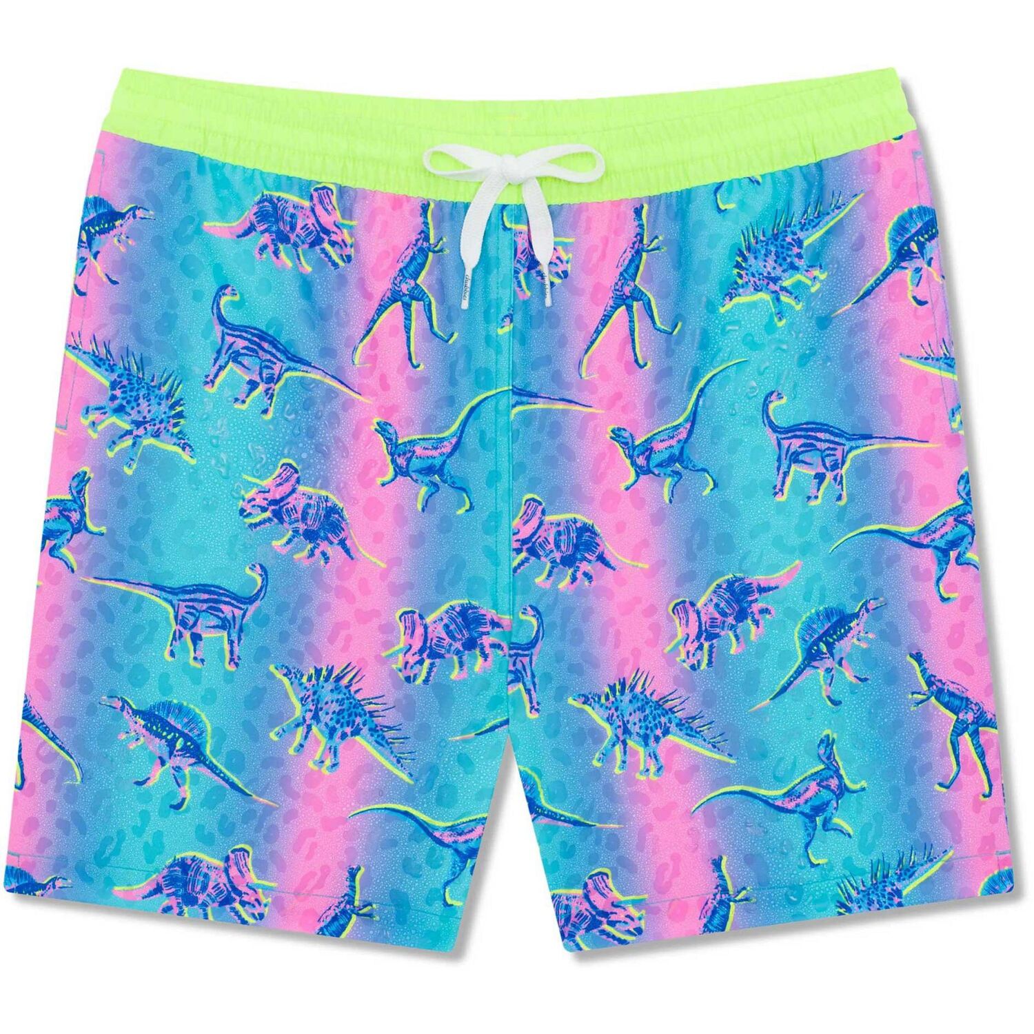 

Плавки для мальчиков "Динозавровые прелести" Chubbies, Blue/Pink