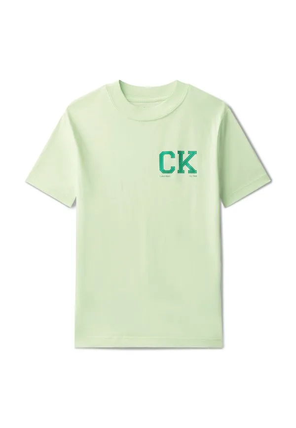 Футболка с принтом логотипа на груди Calvin Klein Jeans, Patina Green — фото 4
