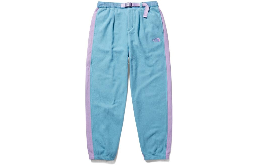 

Детские трикотажные спортивные штаны The North Face, синий