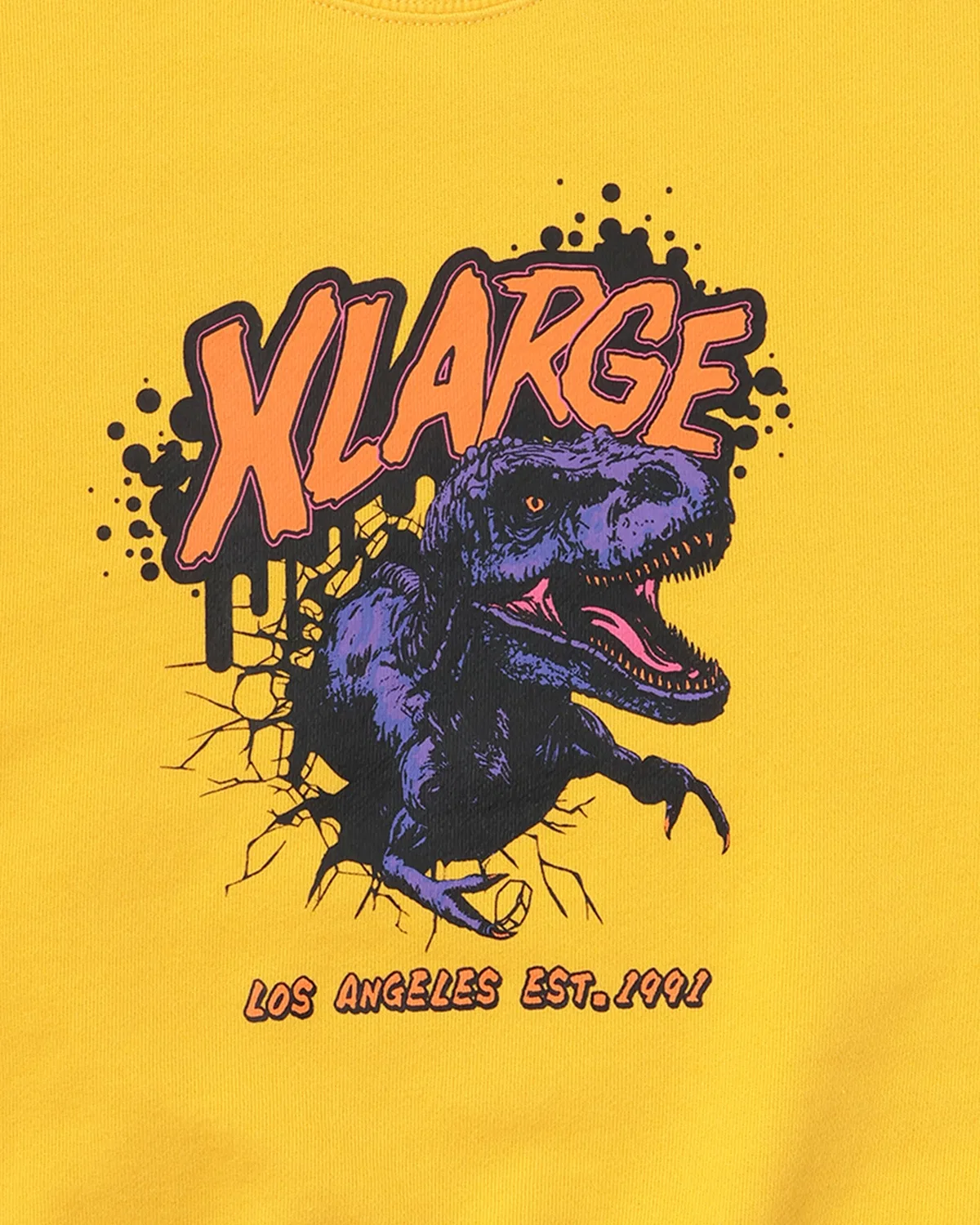 Толстовка с принтом T-Rex, бренд Dinosaurs, хлопок, чёрный — фото 4