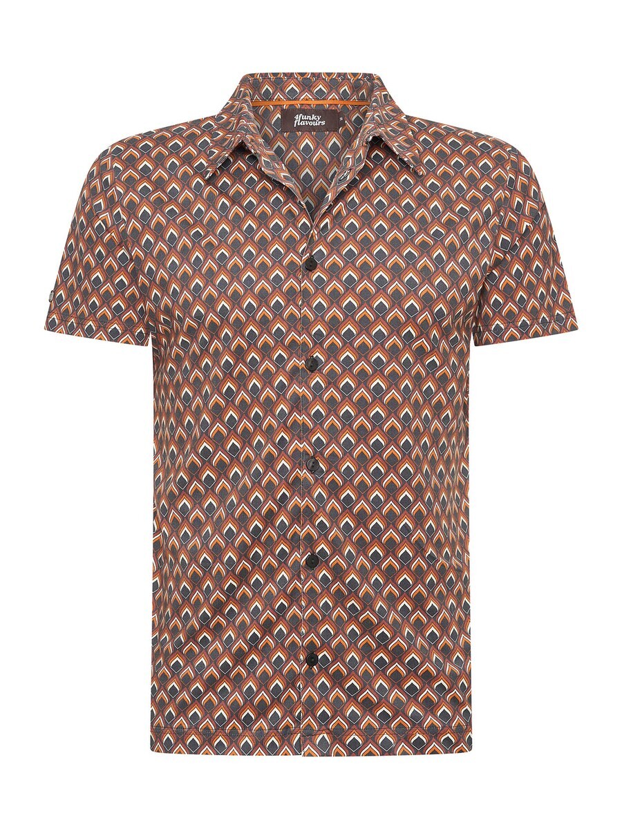 

Повседневная рубашка 4funkyflavours Regular fit Button Up Shirt Ndolo Embe Mulema, разноцветный